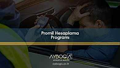 Promil Hesaplama Programı 2026 : 1 Bira Kaç Promil, 1 Duble Rakı Kaç Promil?